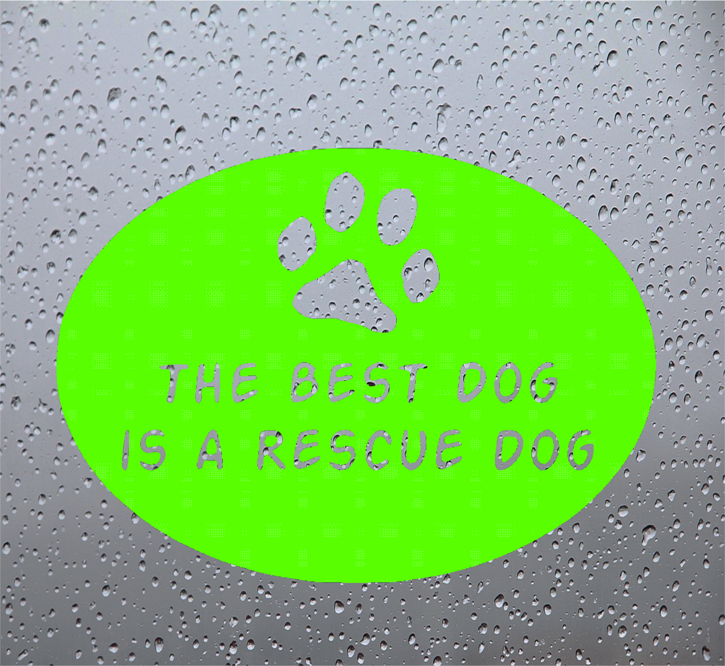 Best Dog Decal